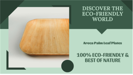 Discover the Eco-Friendly World of Areca Palm Leaf Plates thumbnail